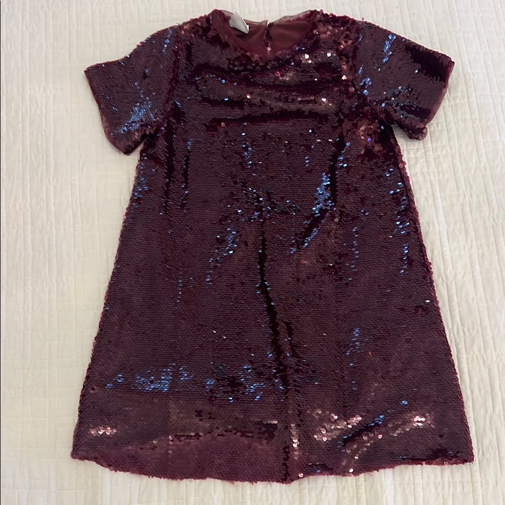 Sparkling Burgundy Sequin Dress